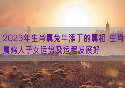 2023年生肖属兔年添丁的属相 生肖属鸡人子女运势及运程发展好(图1) 2023年生肖属兔年添丁的属相 生肖属鸡人子女运势及运程发展好(图1)