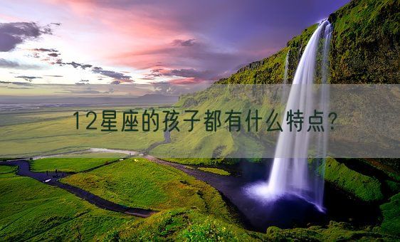 12星座的孩子都有什么特点?(图1) 12星座的孩子都有什么特点?(图1)