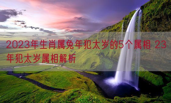 2023年生肖属兔年犯太岁的5个属相 23年犯太岁属相解析(图1) 2023年生肖属兔年犯太岁的5个属相 23年犯太岁属相解析(图1)