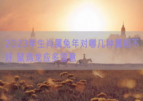 2023年生肖属兔年对哪几种属相不好 鼠鸡龙应多留意(图1) 2023年生肖属兔年对哪几种属相不好 鼠鸡龙应多留意(图1)