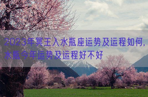 2023年冥王入水瓶座运势及运程如何,水瓶今年运势及运程好不好(图1) 2023年冥王入水瓶座运势及运程如何,水瓶今年运势及运程好不好(图1)