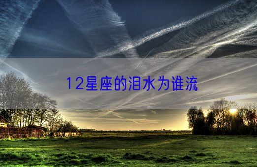 12星座的泪水为谁流(图1) 12星座的泪水为谁流(图1)