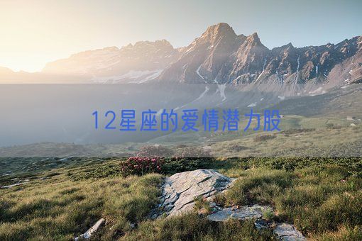 12星座的爱情潜力股(图1)