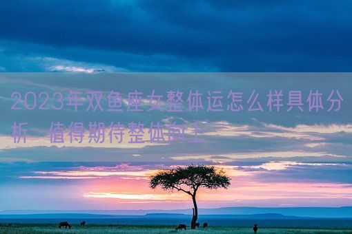 2023年双鱼座女整体运怎么样具体分析  值得期待整体向上(图1) 2023年双鱼座女整体运怎么样具体分析  值得期待整体向上(图1)