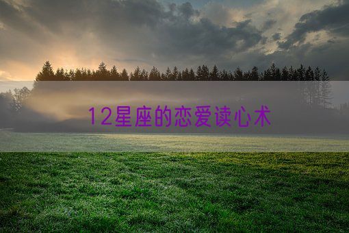 12星座的恋爱读心术(图1) 12星座的恋爱读心术(图1)