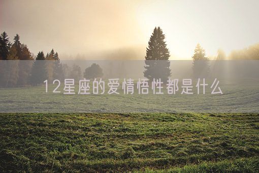 12星座的爱情悟性都是什么(图1) 12星座的爱情悟性都是什么(图1)