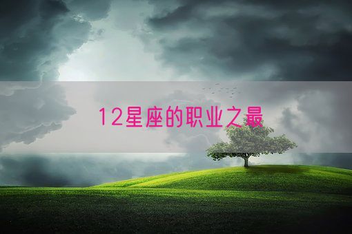 12星座的职业之最(图1) 12星座的职业之最(图1)