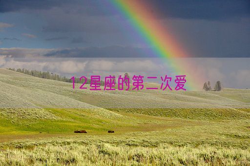 12星座的第二次爱(图1)
