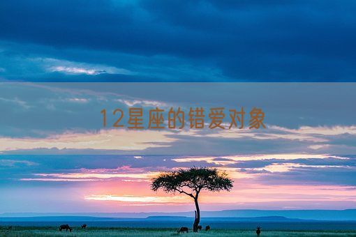 12星座的错爱对象(图1) 12星座的错爱对象(图1)