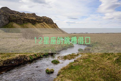 12星座的跳槽借口(图1) 12星座的跳槽借口(图1)