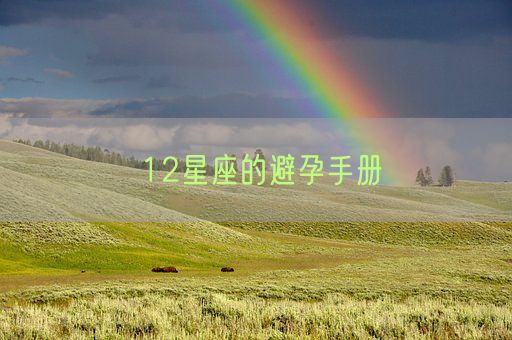12星座的避孕手册(图1)