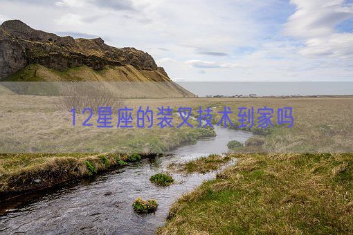 12星座的装叉技术到家吗(图1) 12星座的装叉技术到家吗(图1)