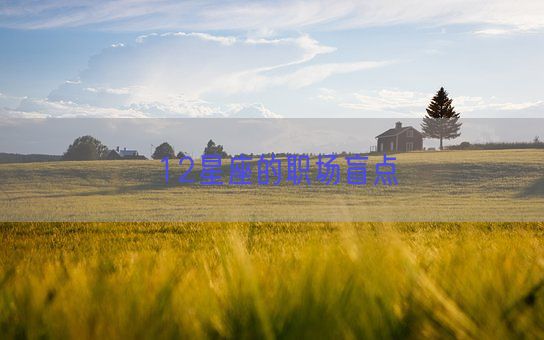 12星座的职场盲点(图1) 12星座的职场盲点(图1)