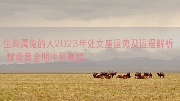 生肖属兔的人2023年处女座运势及运程解析  辉煌黄金期冲势最猛(图1)