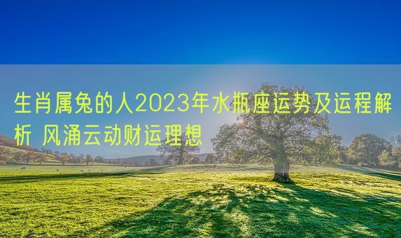 生肖属兔的人2023年水瓶座运势及运程解析 风涌云动财运理想(图1)