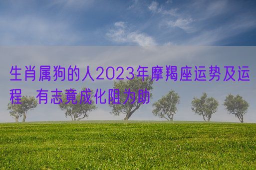 生肖属狗的人2023年摩羯座运势及运程  有志竟成化阻为助(图1)