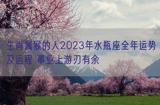 生肖属猴的人2023年水瓶座全年运势及运程 事业上游刃有余(图1) 生肖属猴的人2023年水瓶座全年运势及运程 事业上游刃有余(图1)