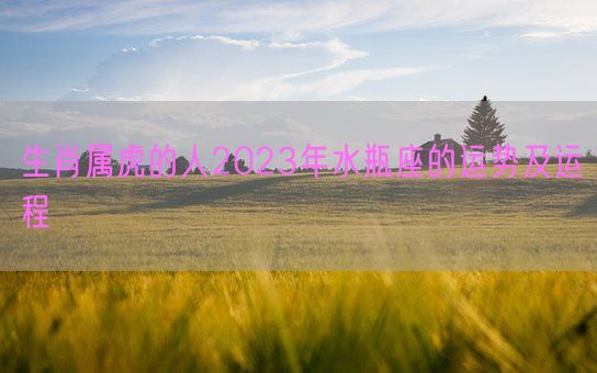 生肖属虎的人2023年水瓶座的运势及运程(图1) 生肖属虎的人2023年水瓶座的运势及运程(图1)
