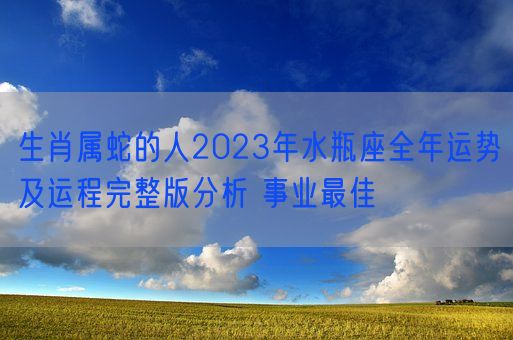 生肖属蛇的人2023年水瓶座全年运势及运程完整版分析 事业最佳(图1)