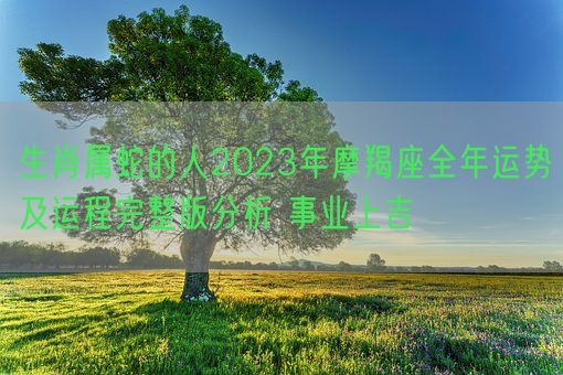 生肖属蛇的人2023年摩羯座全年运势及运程完整版分析 事业上吉(图1)