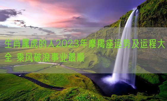 生肖属虎的人2023年摩羯座运势及运程大全 乘风破浪事业最顺(图1)