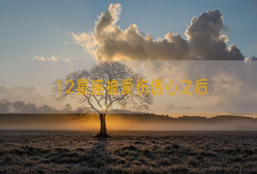12星座被爱伤透心之后(图1) 12星座被爱伤透心之后(图1)