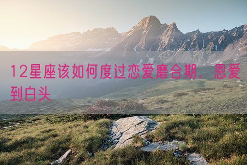 12星座该如何度过恋爱磨合期,恩爱到白头(图1) 12星座该如何度过恋爱磨合期,恩爱到白头(图1)