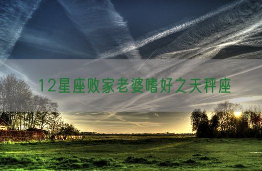 12星座败家老婆嗜好之天秤座(图1)