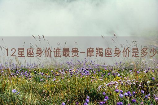 12星座身价谁最贵-摩羯座身价是多少(图1)