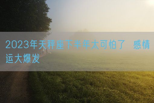 2023年天秤座下半年太可怕了  感情运大爆发(图1)