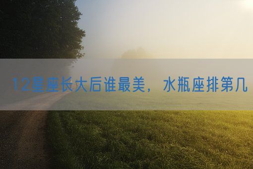 12星座长大后谁最美,水瓶座排第几(图1) 12星座长大后谁最美,水瓶座排第几(图1)