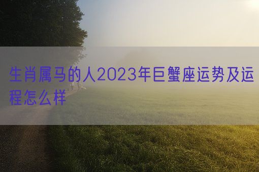 生肖属马的人2023年巨蟹座运势及运程怎么样 (图1) 生肖属马的人2023年巨蟹座运势及运程怎么样 (图1)