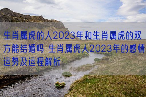 生肖属虎的人2023年和生肖属虎的双方能结婚吗 生肖属虎人2023年的感情运势及运程解析(图1)