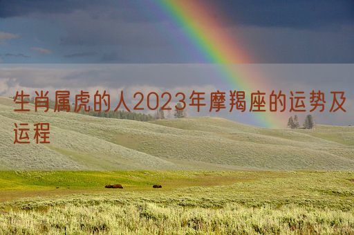 生肖属虎的人2023年摩羯座的运势及运程(图1)