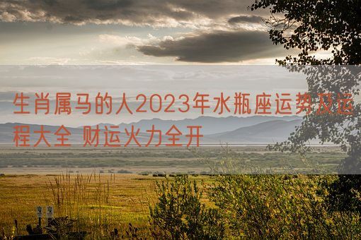 生肖属马的人2023年水瓶座运势及运程大全 财运火力全开(图1) 生肖属马的人2023年水瓶座运势及运程大全 财运火力全开(图1)