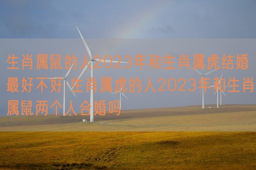 生肖属鼠的人2023年和生肖属虎结婚最好不好 生肖属虎的人2023年和生肖属鼠两个人合婚吗(图1)