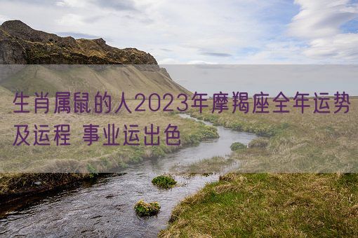 生肖属鼠的人2023年摩羯座全年运势及运程 事业运出色(图1)