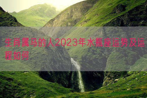 生肖属马的人2023年水瓶座运势及运程如何(图1) 生肖属马的人2023年水瓶座运势及运程如何(图1)