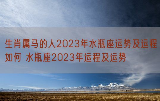 生肖属马的人2023年水瓶座运势及运程如何 水瓶座2023年运程及运势(图1)