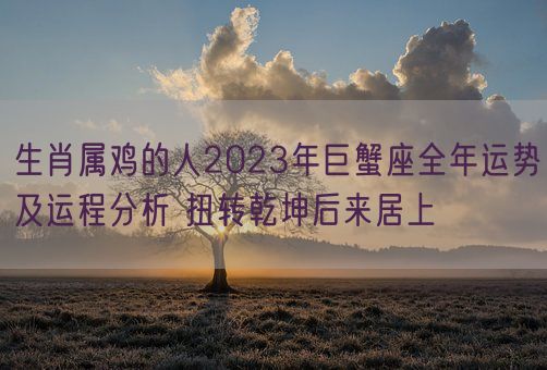 生肖属鸡的人2023年巨蟹座全年运势及运程分析 扭转乾坤后来居上(图1) 生肖属鸡的人2023年巨蟹座全年运势及运程分析 扭转乾坤后来居上(图1)