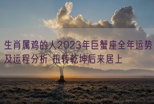 生肖属鸡的人2023年巨蟹座全年运势及运程分析 扭转乾坤后来居上(图1)