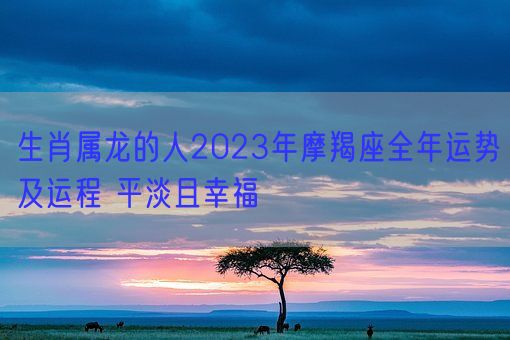 生肖属龙的人2023年摩羯座全年运势及运程 平淡且幸福(图1)