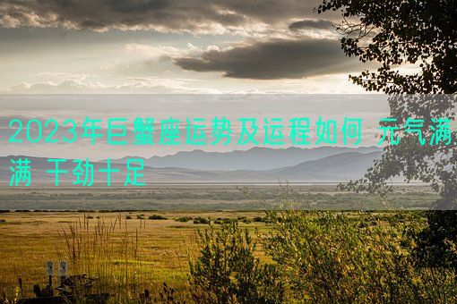 2023年巨蟹座运势及运程如何 元气满满 干劲十足(图1) 2023年巨蟹座运势及运程如何 元气满满 干劲十足(图1)
