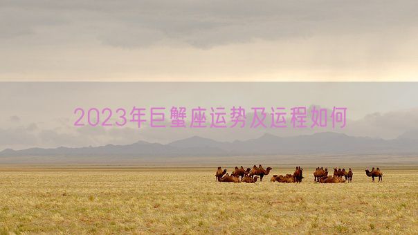 2023年巨蟹座运势及运程如何(图1) 2023年巨蟹座运势及运程如何(图1)