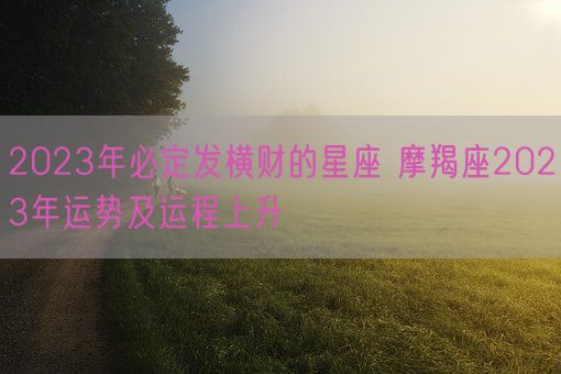 2023年必定发横财的星座 摩羯座2023年运势及运程上升(图1)