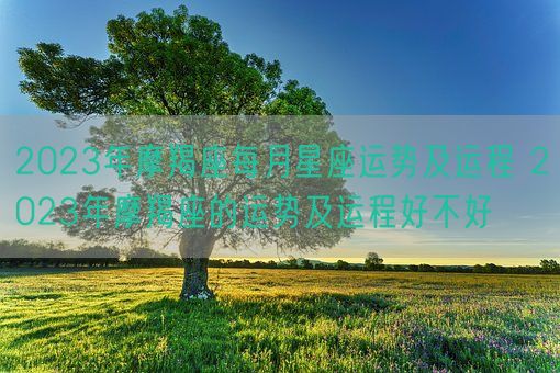 2023年摩羯座每月星座运势及运程 2023年摩羯座的运势及运程好不好(图1)