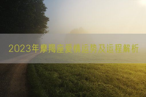 2023年摩羯座爱情运势及运程解析(图1)