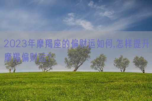 2023年摩羯座的偏财运如何,怎样提升摩羯偏财运？(图1)