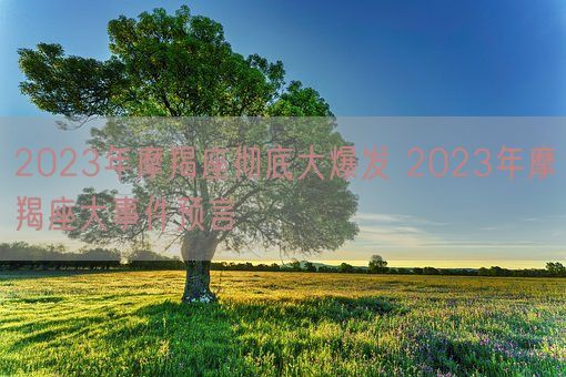 2023年摩羯座彻底大爆发 2023年摩羯座大事件预言(图1)