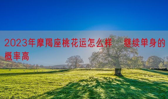 2023年摩羯座桃花运怎么样   继续单身的概率高(图1)